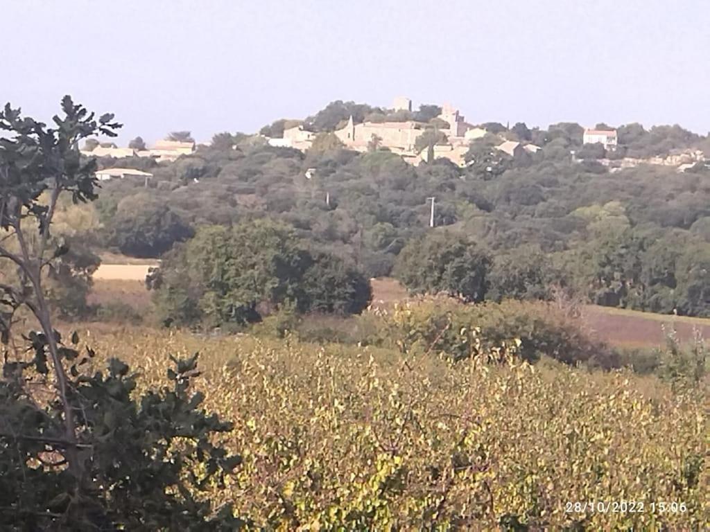 La Maison D'En Haut La Capelle-et-Masmolene Exterior foto